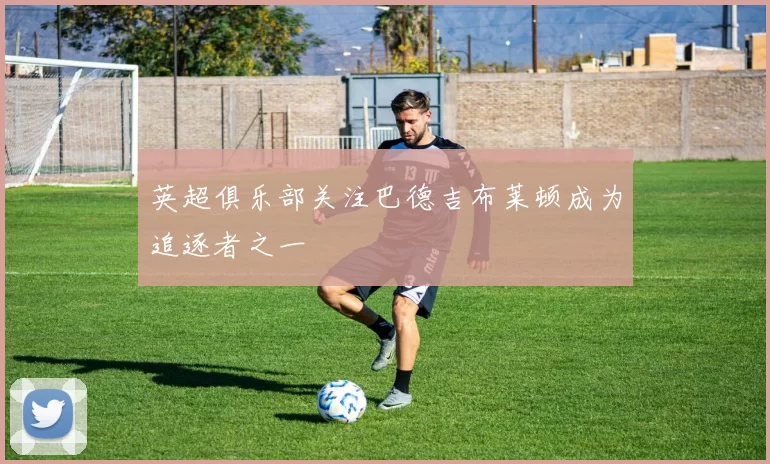 英超俱乐部关注巴德吉布莱顿成为追逐者之一