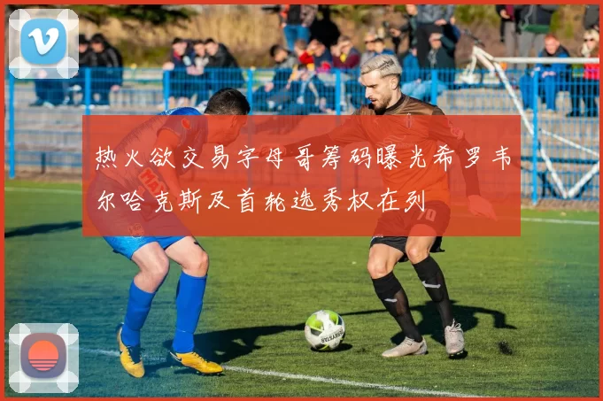 热火欲交易字母哥筹码曝光希罗韦尔哈克斯及首轮选秀权在列